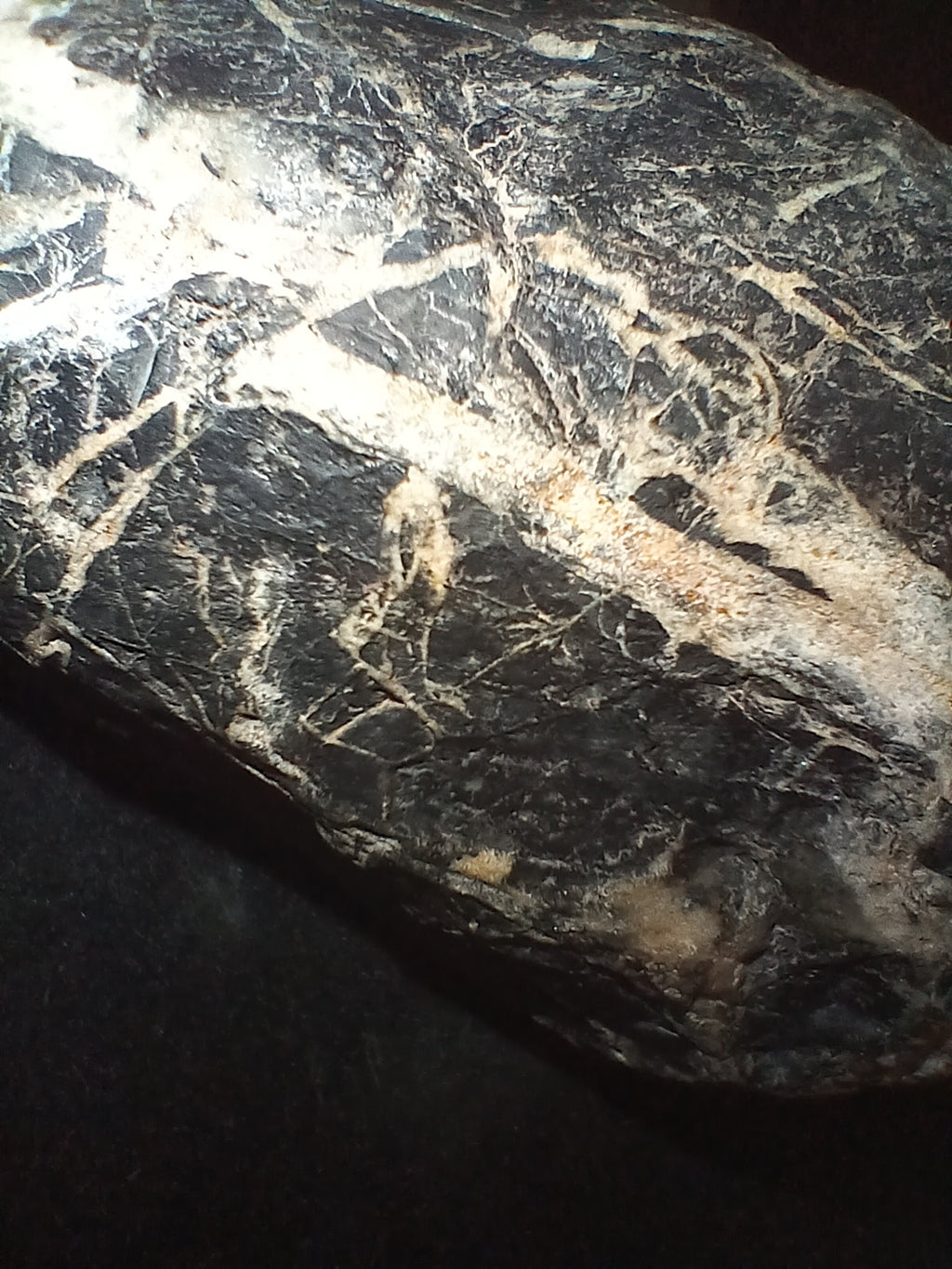 Unique Stone Specimen's